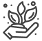 plant 2437093